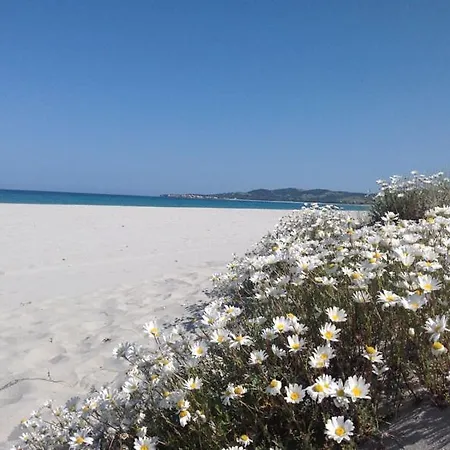 Arena Bianca Frühstückspension La Caletta