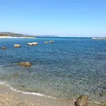 Arena Bianca
