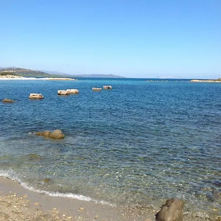 Arena Bianca