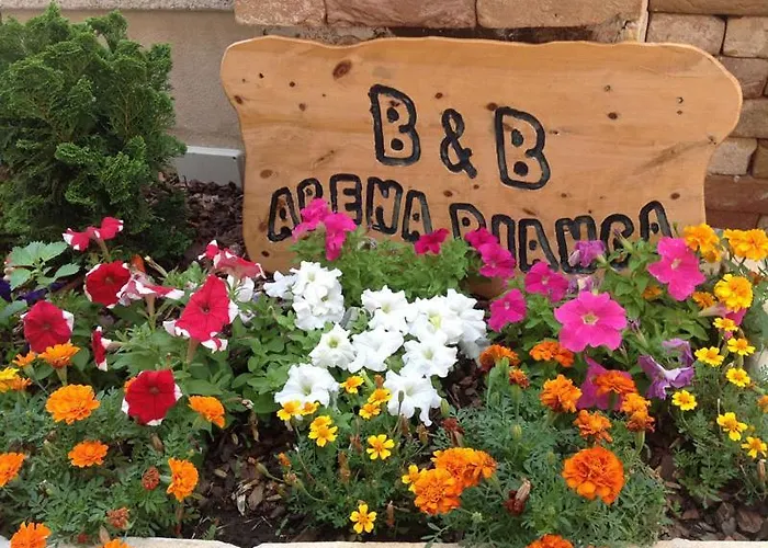 住宿加早餐酒店 Arena Bianca