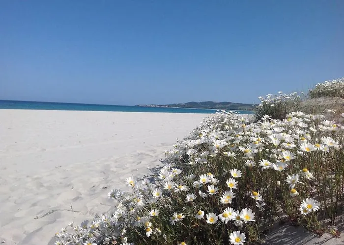 Arena Bianca 住宿加早餐酒店 拉卡勒塔